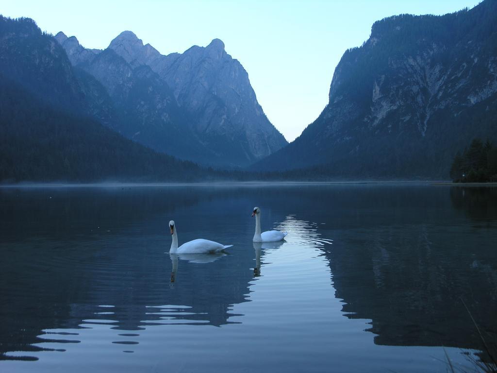 Hotel Schopfenhof San Candido Luaran gambar